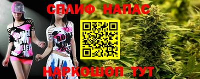 стаф Донской