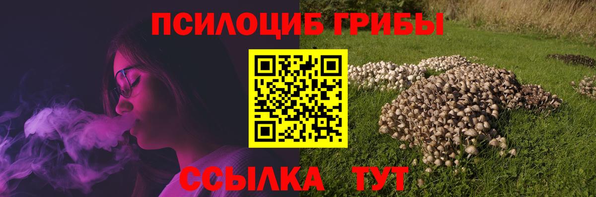 Псилоцибиновые грибы MAGIC MUSHROOMS Москва