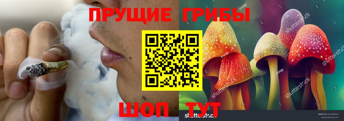 сколько стоит  Вход с VPN  Москва  Галлюциногенные грибы GOLDEN TEACHER  Галлюциногенные грибы MAGIC MUSHROOMS 